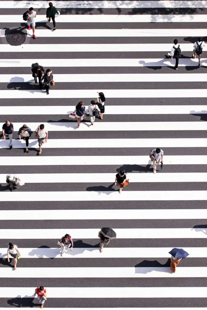 People walking across a zebra crossing, seen from above
