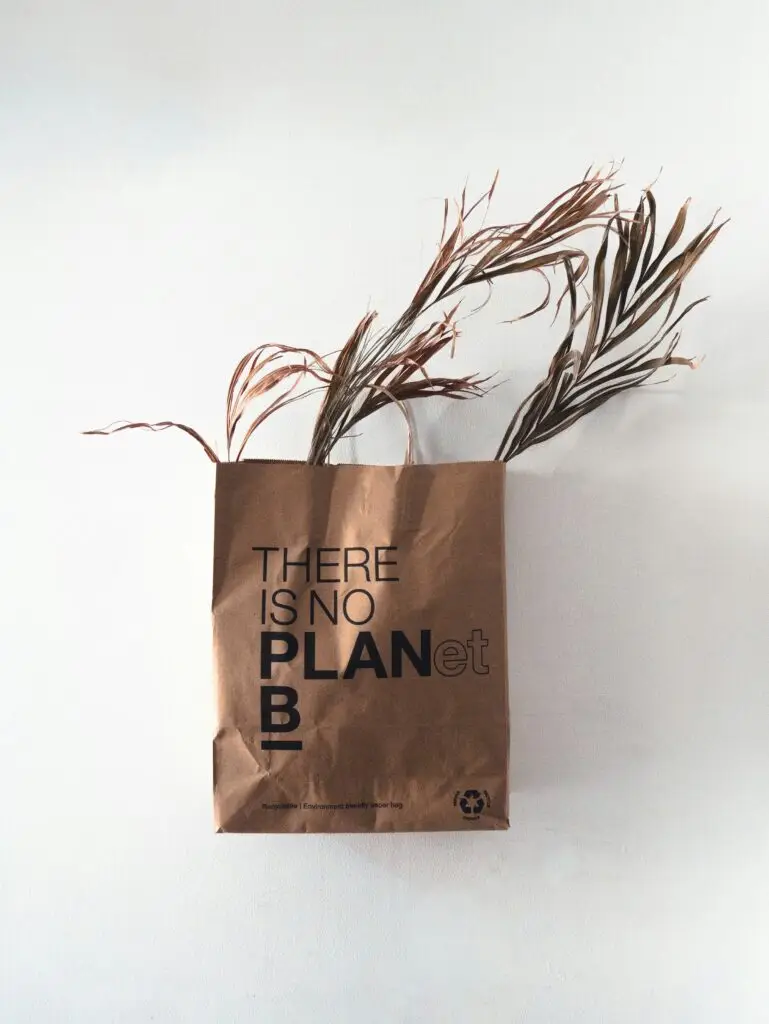 A paper bag printed There Is No Planet B holding dried leaves