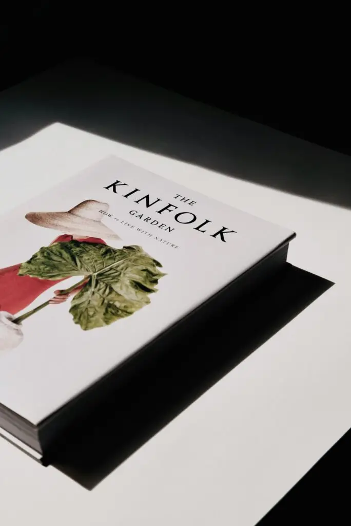 A coffee table book lit by a shaft of light