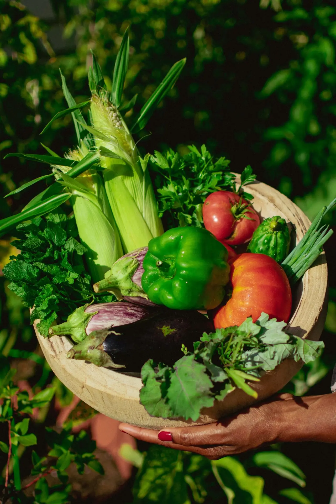 Close-up of fresh peppers, tomatoes, sweetcorn and herbs