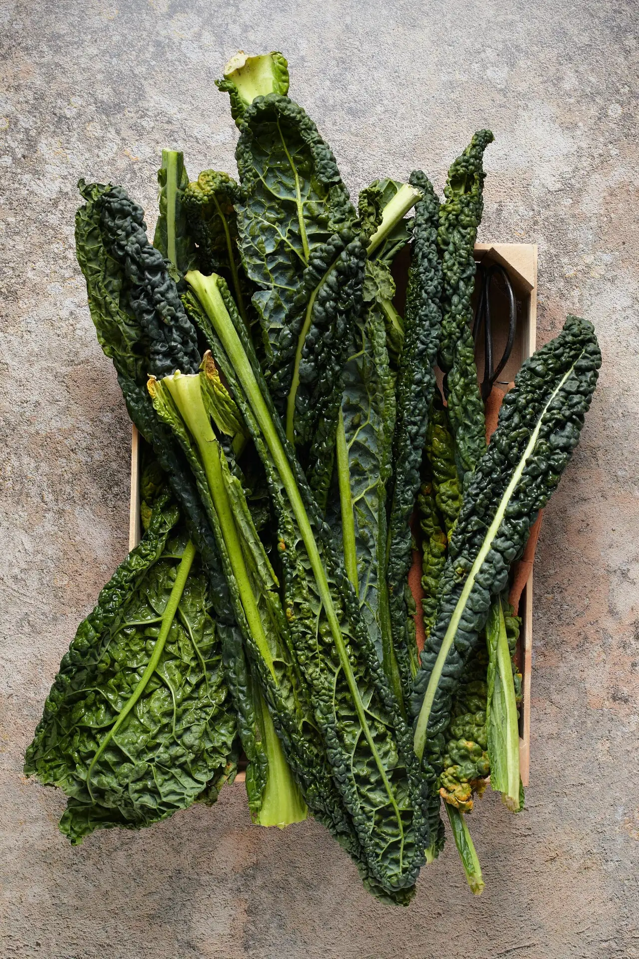 Dark green cavolo nero leaves laid on a stone surface